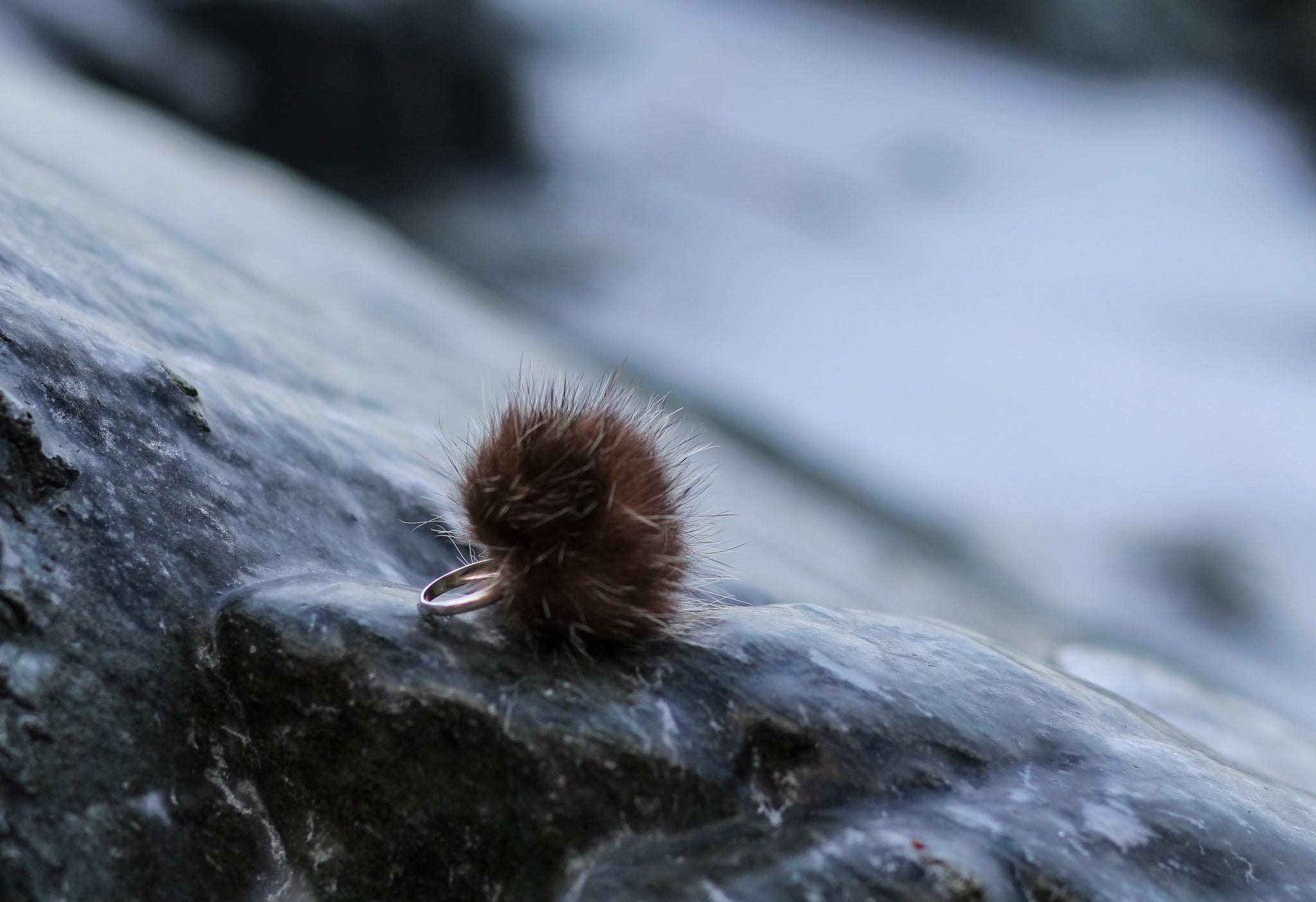 Fur pom ring with iced over ocean rocks